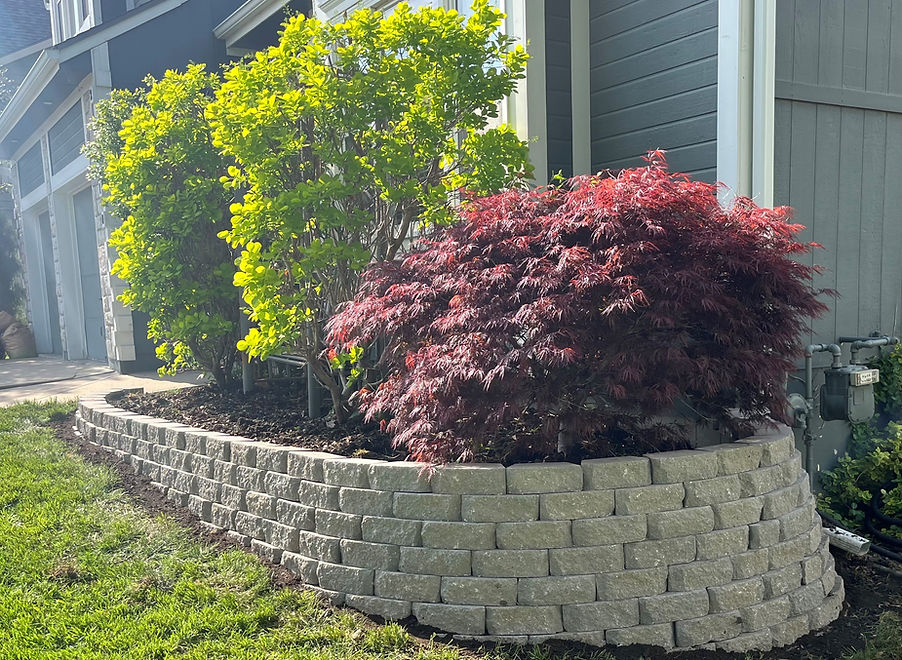 A landscaped Overland Park yard maintained by Francisco Landscaping