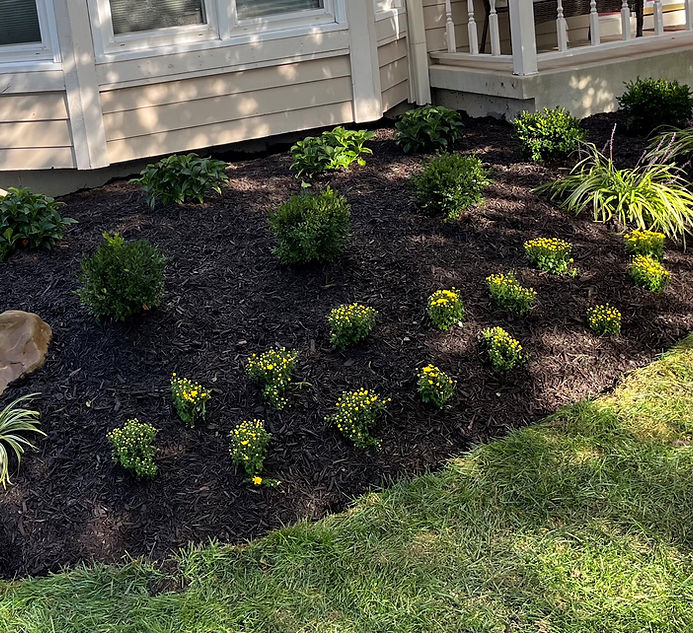 Francisco Landscaping crew work on a residential property